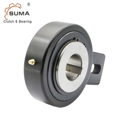 RSBW40 Bucket Elevetor Backstop Bearing